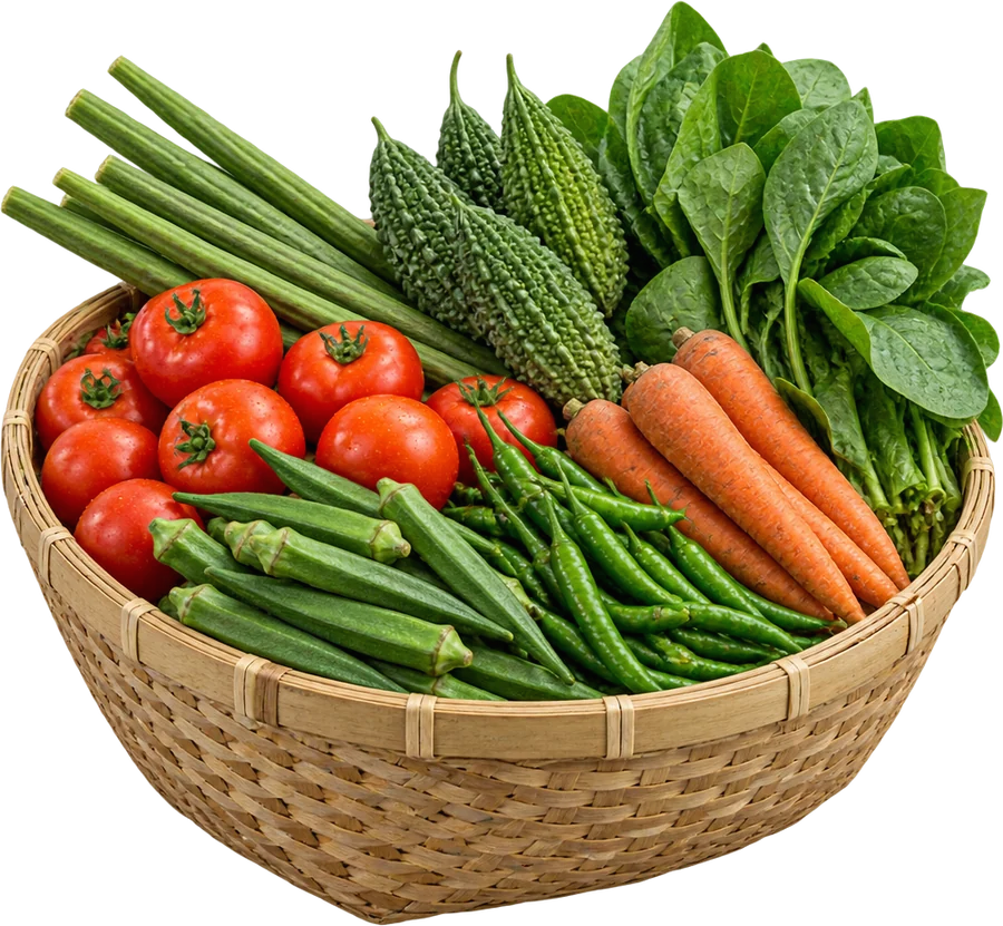 Basket of fresh organic vegetables